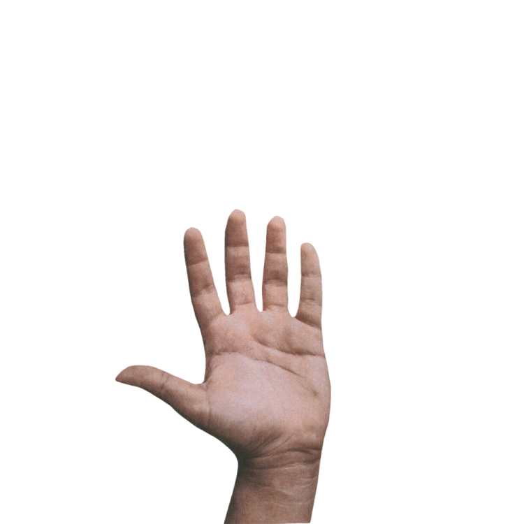 Fieldtypes-dark-mode.