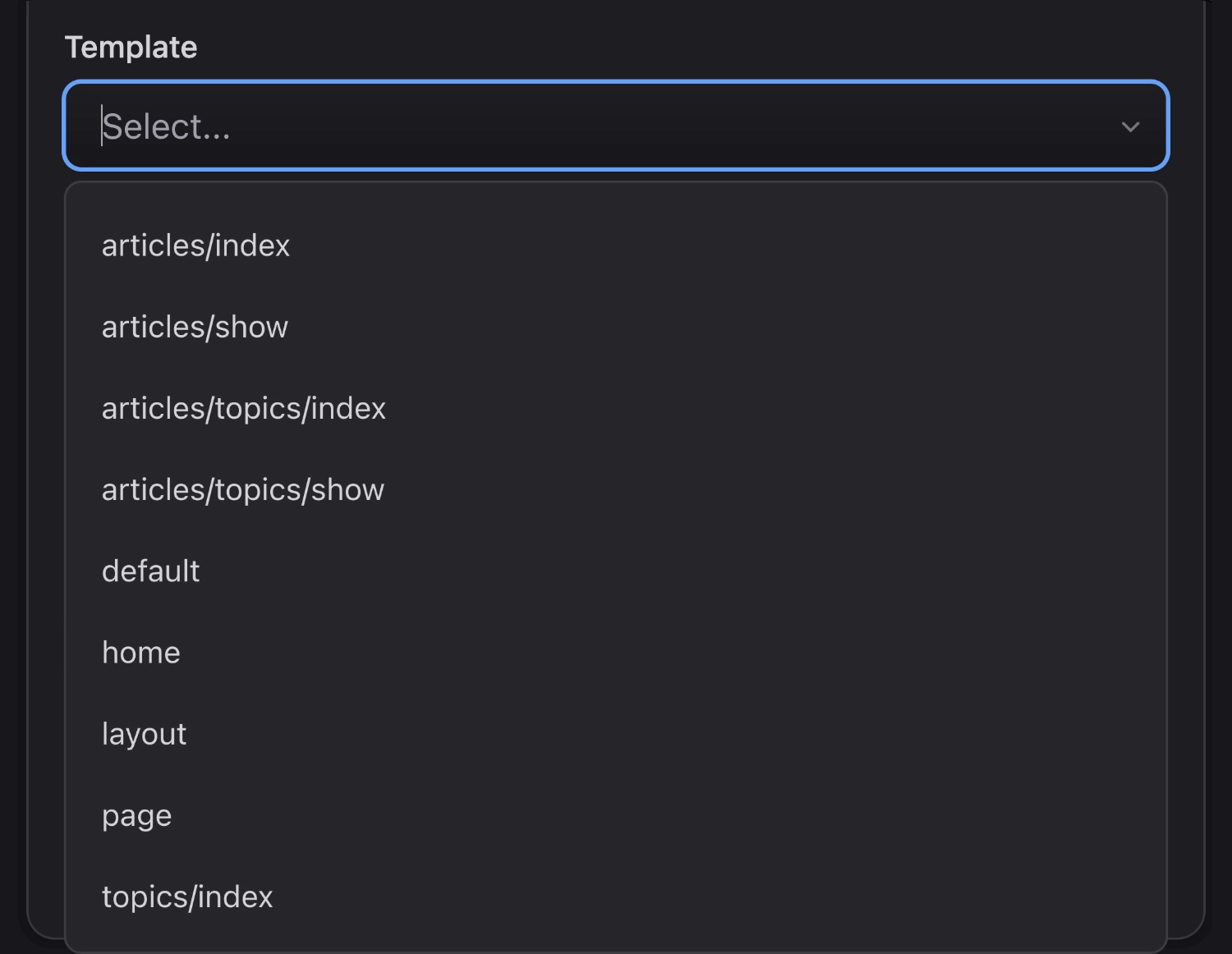 Screenshot of Template