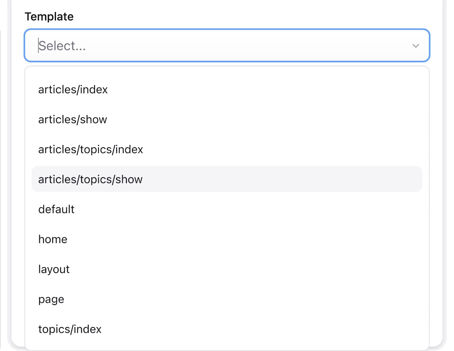 Screenshot of Template