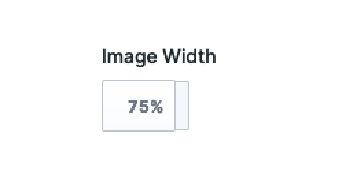 Width Fieldtype UI